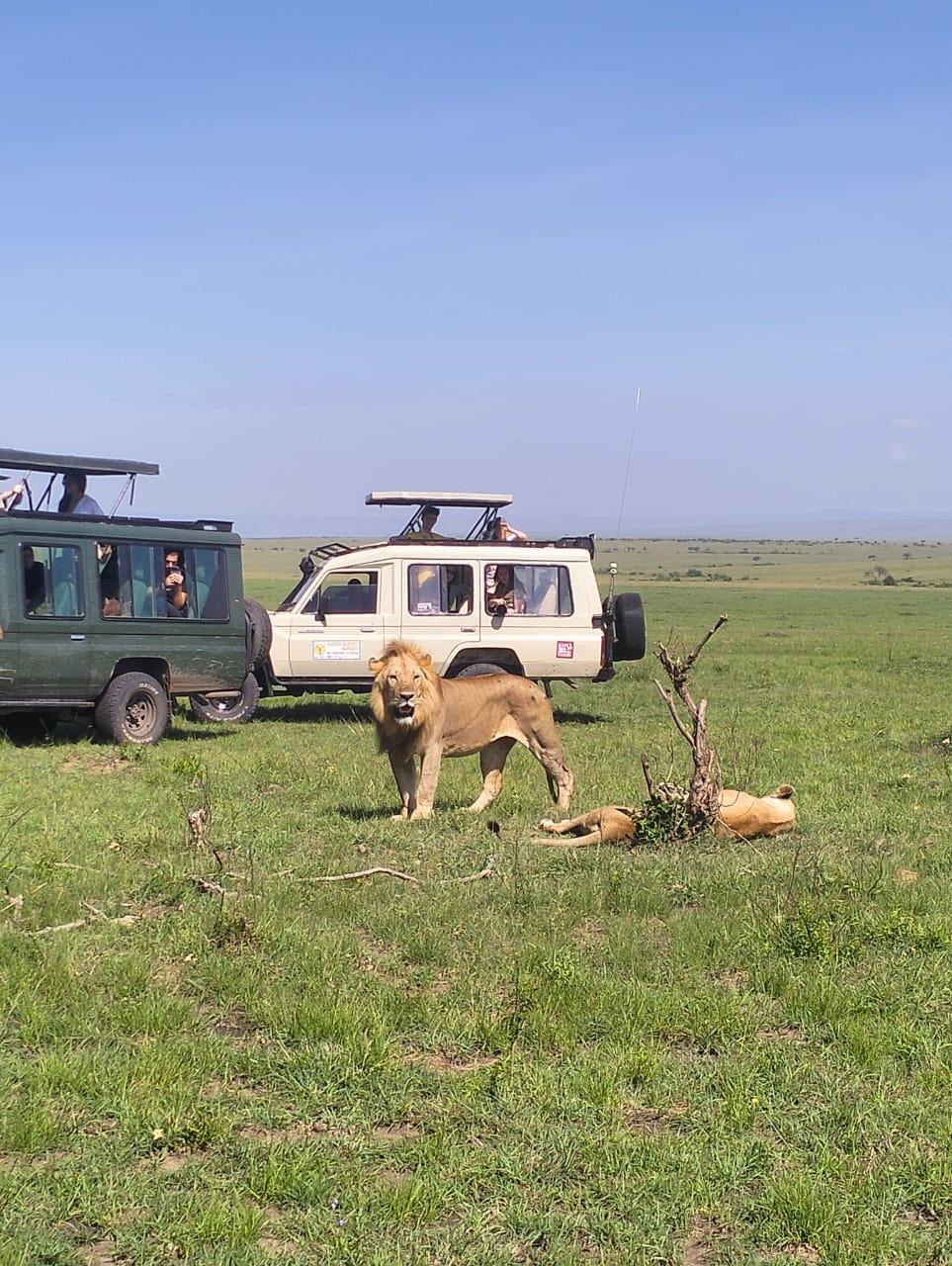 Safari Park